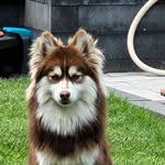 Bert Schmitz - @beerke67 - Instagram
