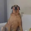 ShanonNewbert - @shannonnewbert - TikTok