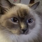 Shelley Hubbert - @shelleyhubbert - Instagram