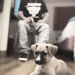 Albert Shelton - Facebook
