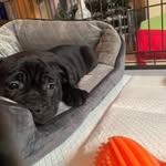 Bert shelton AKA dirty bertie - @berttheboisterousboi - Instagram