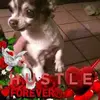 bertsheppard552 - @bertsheppard552 - TikTok