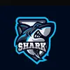 betshark100 - @betshark_ - TikTok