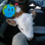 Robert Sigler Sigler - @robertsiglersigler - Instagram
