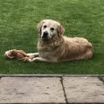 Bert Smit - @blondy_2681 - Instagram