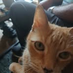 Bert Smith - Facebook
