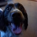 Bert Stanton - @bertstanton82 - Instagram