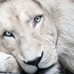 Robert Stanton - @robert.stanton.562 - Instagram