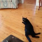Robert stanton - @robertstanton2545 - Instagram