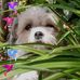 Bert Steen - Facebook