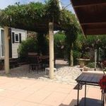 Bert Steenbeek - @steenbeekbert - Instagram