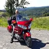 Bert Steens - @bertsteens - TikTok