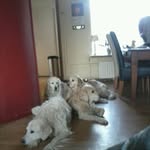 Bert Stein - @bert.stein.927 - Instagram