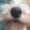   Bertie Stokes - @babybertie123 - TikTok