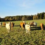 Bert Svensson - @bertsve - Instagram