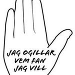 Bert Svensson - @bugared - Instagram