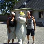 Bert Svensson - @bertsvensson6 - Instagram