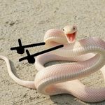 Bert svensson - @skskksksksksksksksson - Instagram