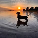 Rob Sweeney - @robert.sweeney.77736310 - Instagram