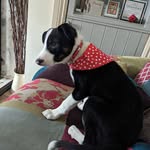 Robert Sweeney - @robertsweeney710 - Instagram