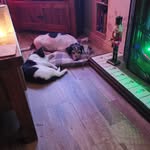 Robert Sweeney - @robert.sweeney.79 - Instagram