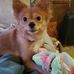 Bert Taylor - Facebook