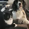 Robert Templeton493 - @roberttempleton8 - TikTok