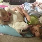 Bert Thompson - @albertrthompson - Instagram