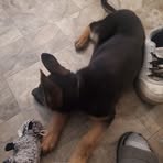 Albert Tindall - Facebook