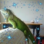 Delbert Tindall - @delberttindall - Instagram