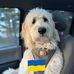 Bert Tucker - Facebook
