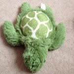 Bert Turtle - @berturtle101 - Instagram