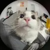 Berti Vargas - @berti.vargas3 - TikTok