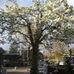 Tuincentrum Bert Visscher VOF - Facebook