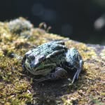 @bert_vogelaar - Instagram