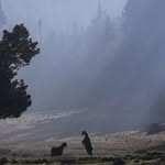 bert vogt - @bertvogt - Instagram