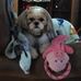Bert Walls - Facebook
