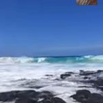 Bert Ward - @ward.bert - Instagram