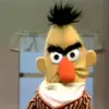 Bert♟️ - @wannabe.bert - TikTok