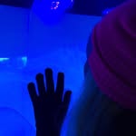 べルトニマ - @bertonimawatanabe - Instagram