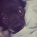 Roberta Watanabe - Facebook