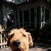 Bert Waters - Facebook