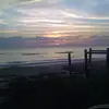Bert Watson - @bert.watson6 - TikTok