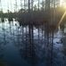 Bert Webb - Facebook