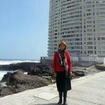 Berta Alfaro - @bertaalfaro - Instagram