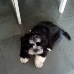 roberta - @roberta_arruda_ - Instagram