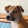 Berta Lara Cea - @bertalaracea - TikTok