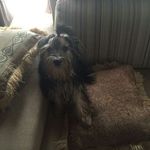 Berta Cervantes - @cervantes.berta - Instagram