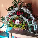 Berta Cervantes - @berta.cervantes.904 - Instagram