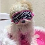 Berta García Cervantes - @garciacervantesberta - Instagram